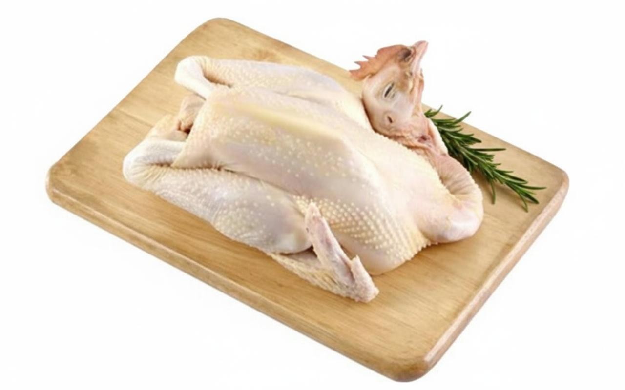Ayam Pejantan